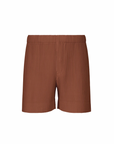 Color Pleats 1 Shorts in Darkside Brown by Homme Plissé Issey Miyake-Homme Plissé Issey Miyake-Idlewild-Cincinnati