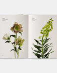 Flower Color Guide-Phaidon-Idlewild-Cincinnati