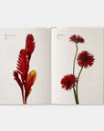 Flower Color Guide-Phaidon-Idlewild-Cincinnati