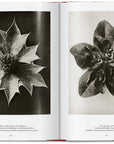 Karl Blossfeldt. The Complete Published Work. 45th Ed. (German, French, English) by Taschen-Home-TASCHEN America-Idlewild