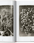 Karl Blossfeldt. The Complete Published Work. 45th Ed. (German, French, English) by Taschen-TASCHEN America-Idlewild-Cincinnati