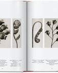 Karl Blossfeldt. The Complete Published Work. 45th Ed. (German, French, English) by Taschen-TASCHEN America-Idlewild-Cincinnati