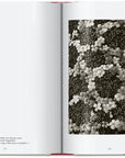 Karl Blossfeldt. The Complete Published Work. 45th Ed. (German, French, English) by Taschen-TASCHEN America-Idlewild-Cincinnati