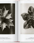 Karl Blossfeldt. The Complete Published Work. 45th Ed. (German, French, English) by Taschen-TASCHEN America-Idlewild-Cincinnati