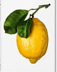 The Gourmand's Lemon (English) by Taschen-TASCHEN America-Idlewild-Cincinnati