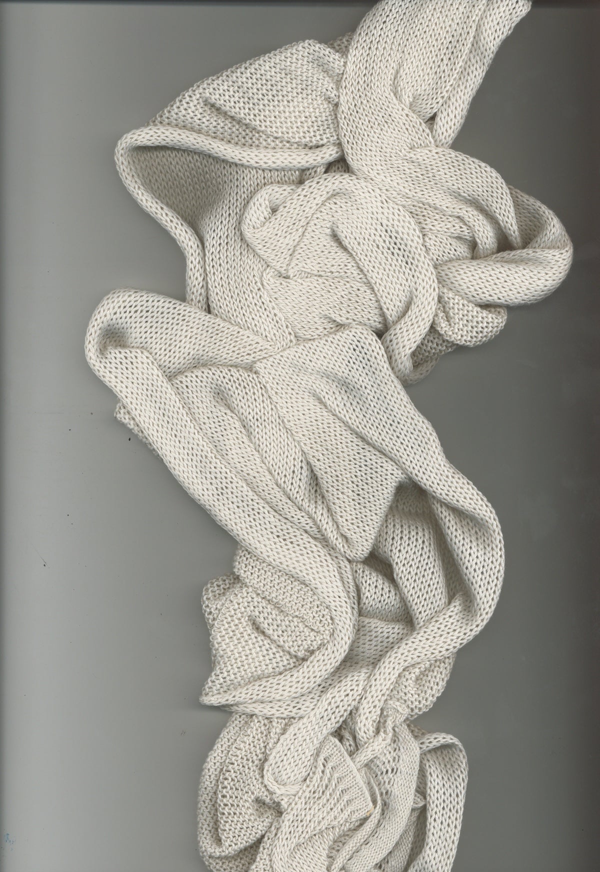 Featured Artist: Wendy Norman
