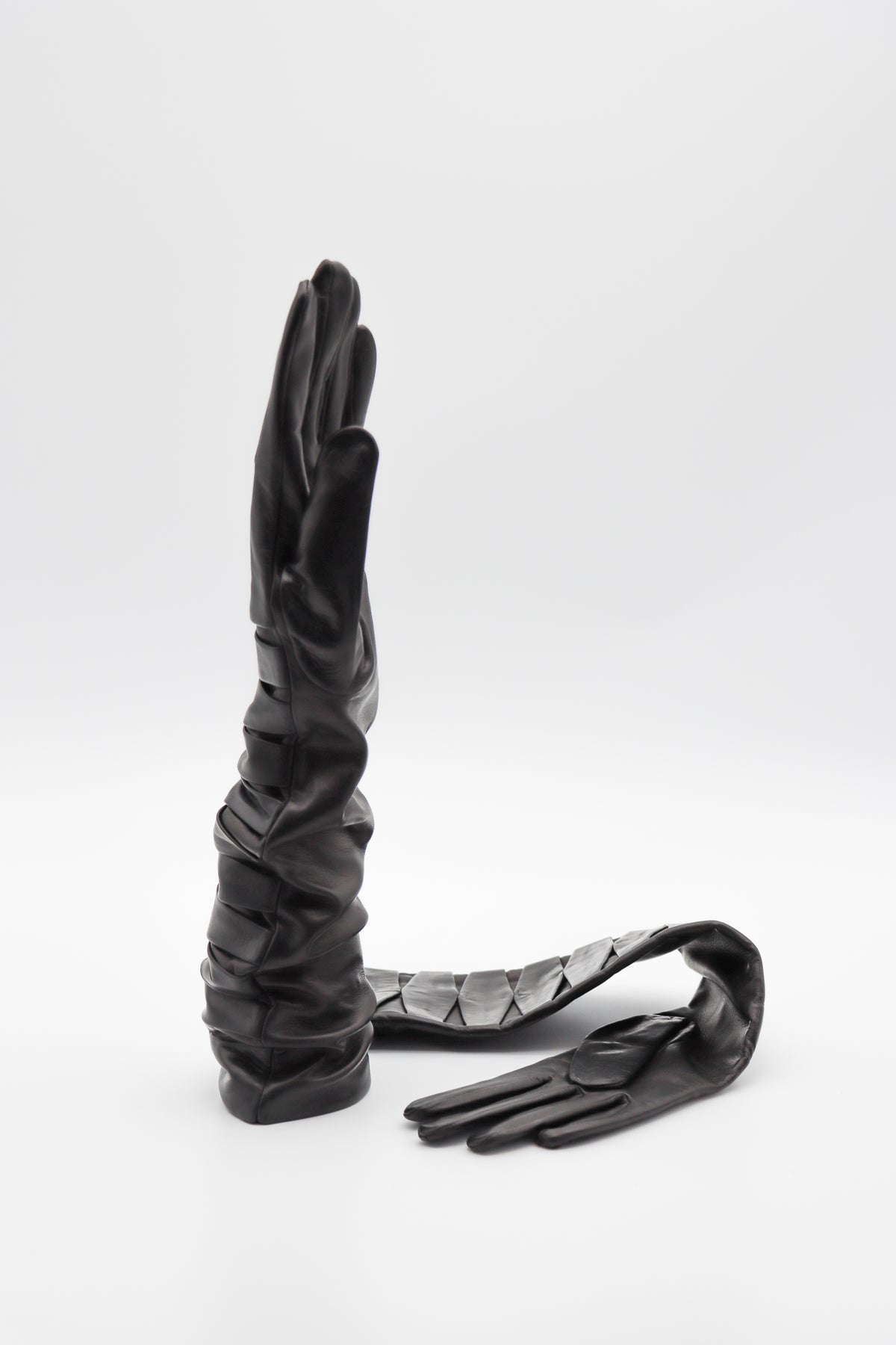 Applique Lambskin Silk Lined Gloves in Black by Gloves Forino 1899-Gloves Forino 1899-Idlewild-Cincinnati