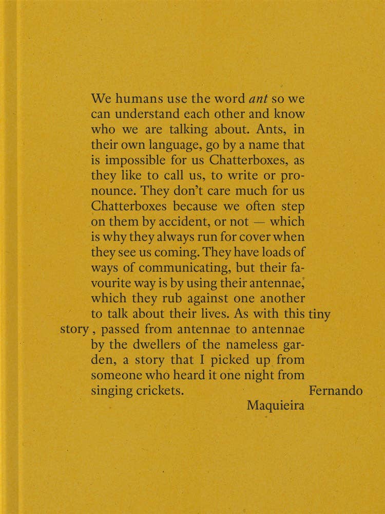 Fernando Maquieira: A Tiny Story-ARTBOOK | D.A.P.-Idlewild-Cincinnati