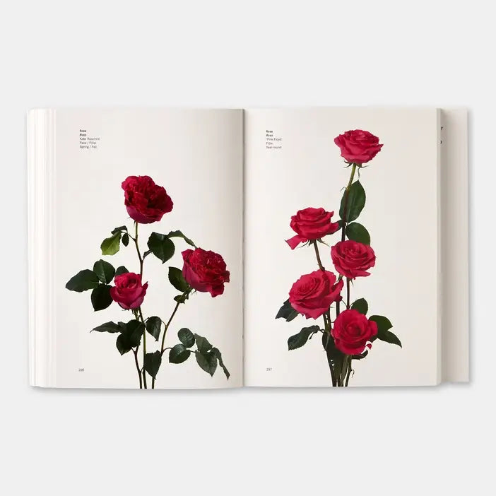 Flower Color Guide-Phaidon-Idlewild