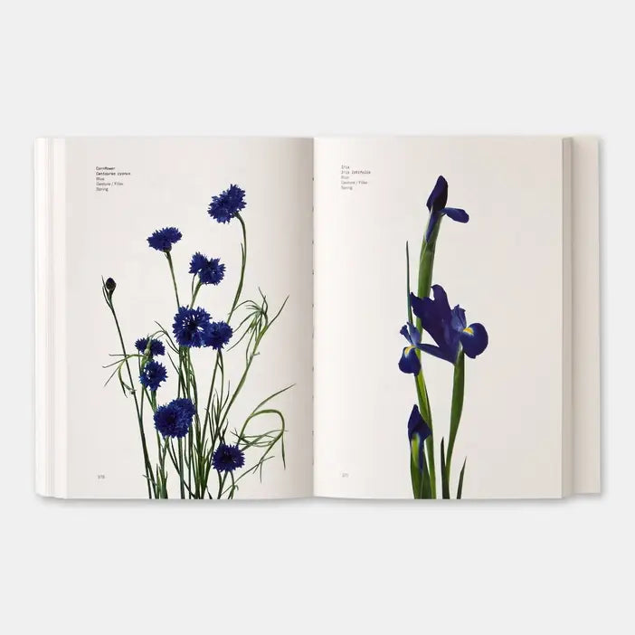 Flower Color Guide-Phaidon-Idlewild