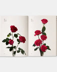 Flower Color Guide-Phaidon-Idlewild-Cincinnati