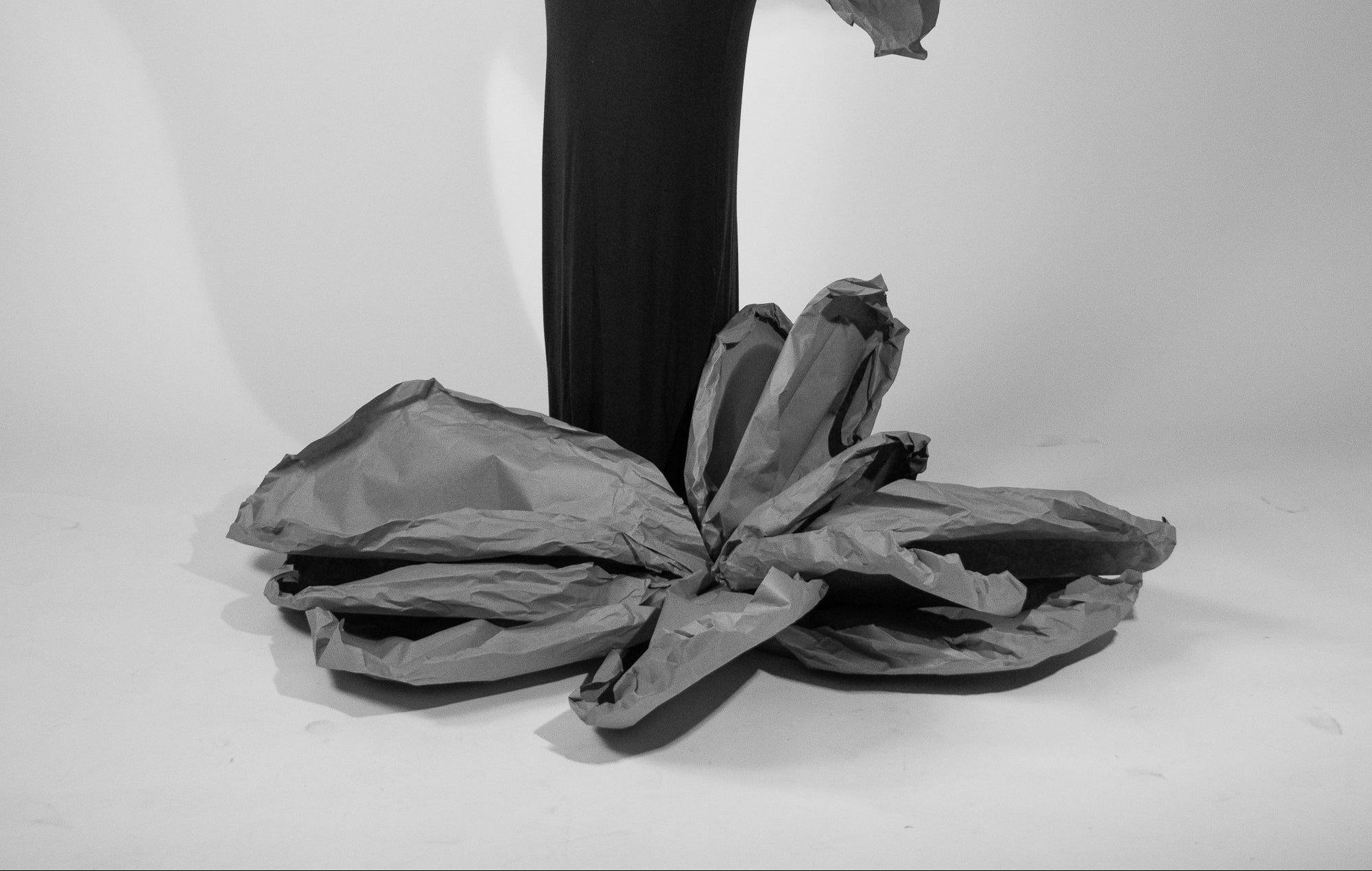 Collection Image