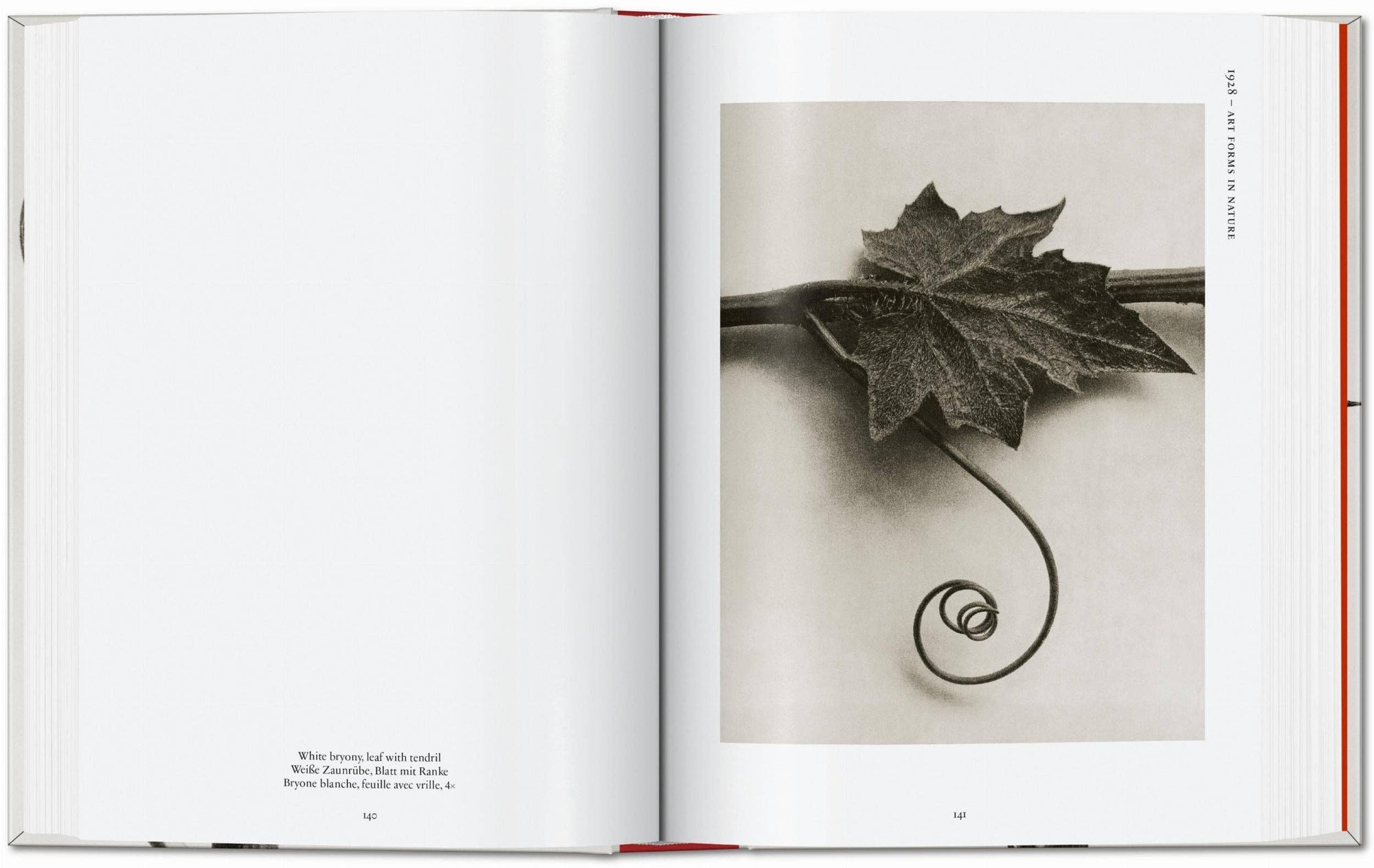 Karl Blossfeldt. The Complete Published Work. 45th Ed. (German, French, English) by Taschen-TASCHEN America-Idlewild-Cincinnati