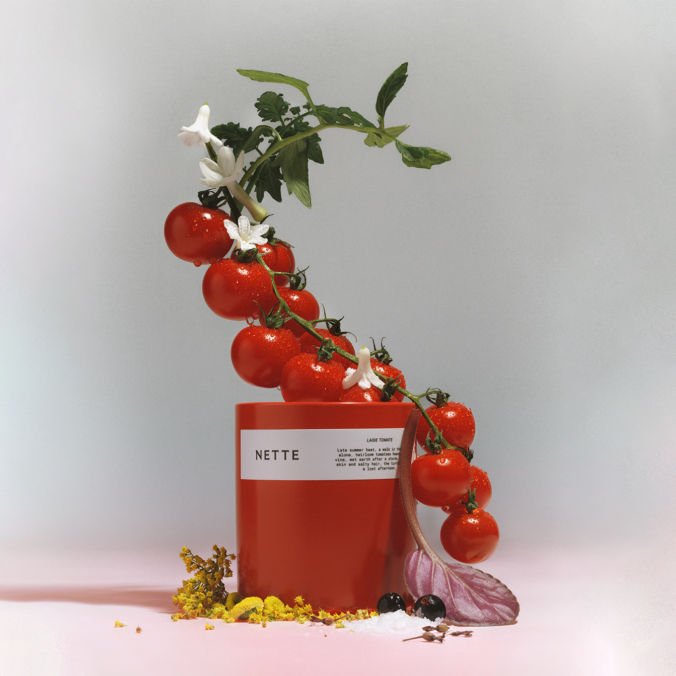 Laide Tomate Scented Candle by Nette-Nette-Idlewild