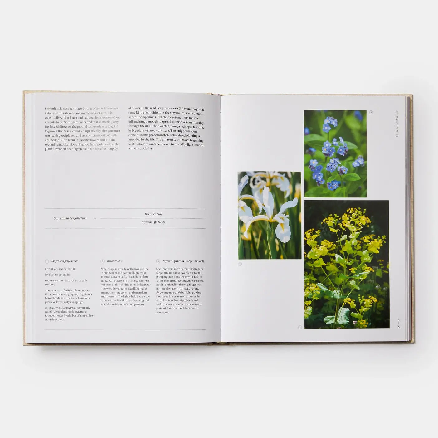 The Seasonal Gardener: Creative Planting Combinations-Phaidon-Idlewild