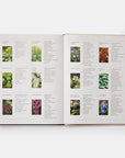 The Seasonal Gardener: Creative Planting Combinations-Phaidon-Idlewild