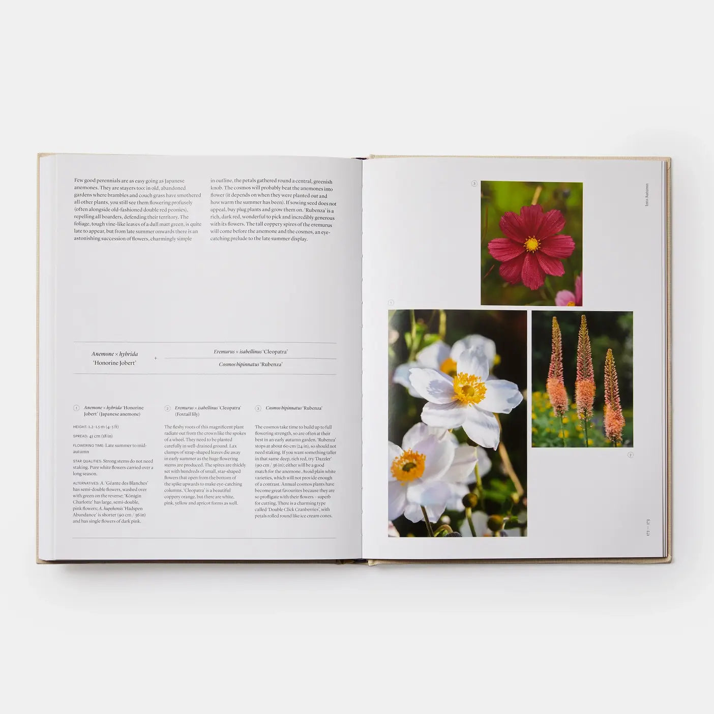 The Seasonal Gardener: Creative Planting Combinations-Phaidon-Idlewild-Cincinnati