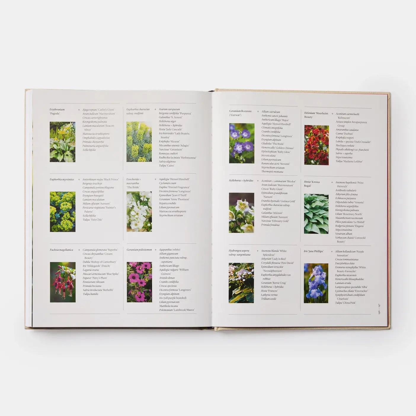 The Seasonal Gardener: Creative Planting Combinations-Phaidon-Idlewild-Cincinnati
