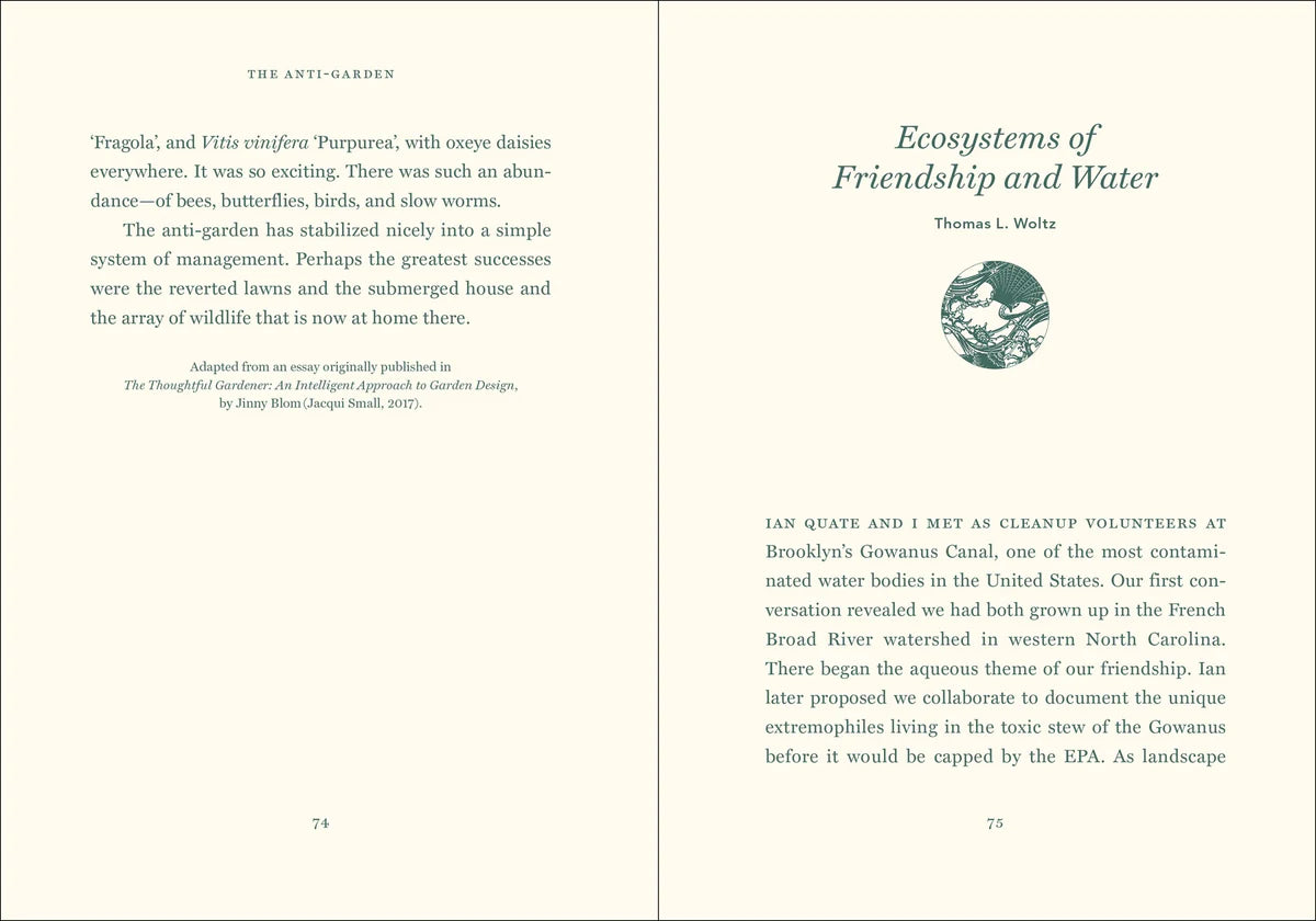 Visualizing Nature - Essays on Truth, Spirit, and Philosophy-Home-Chronicle Books-Idlewild