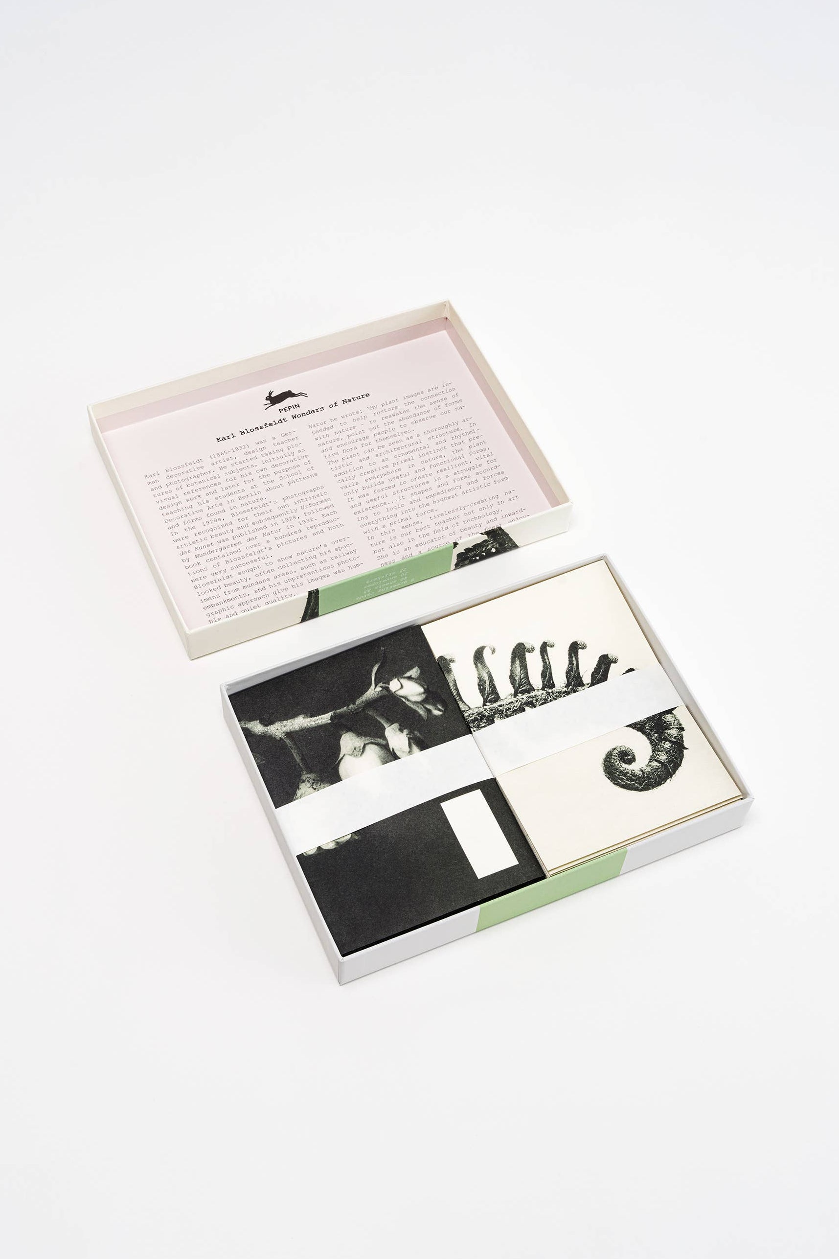 Wonders of Nature (Blossfeldt) Set-Pepin Press-Idlewild